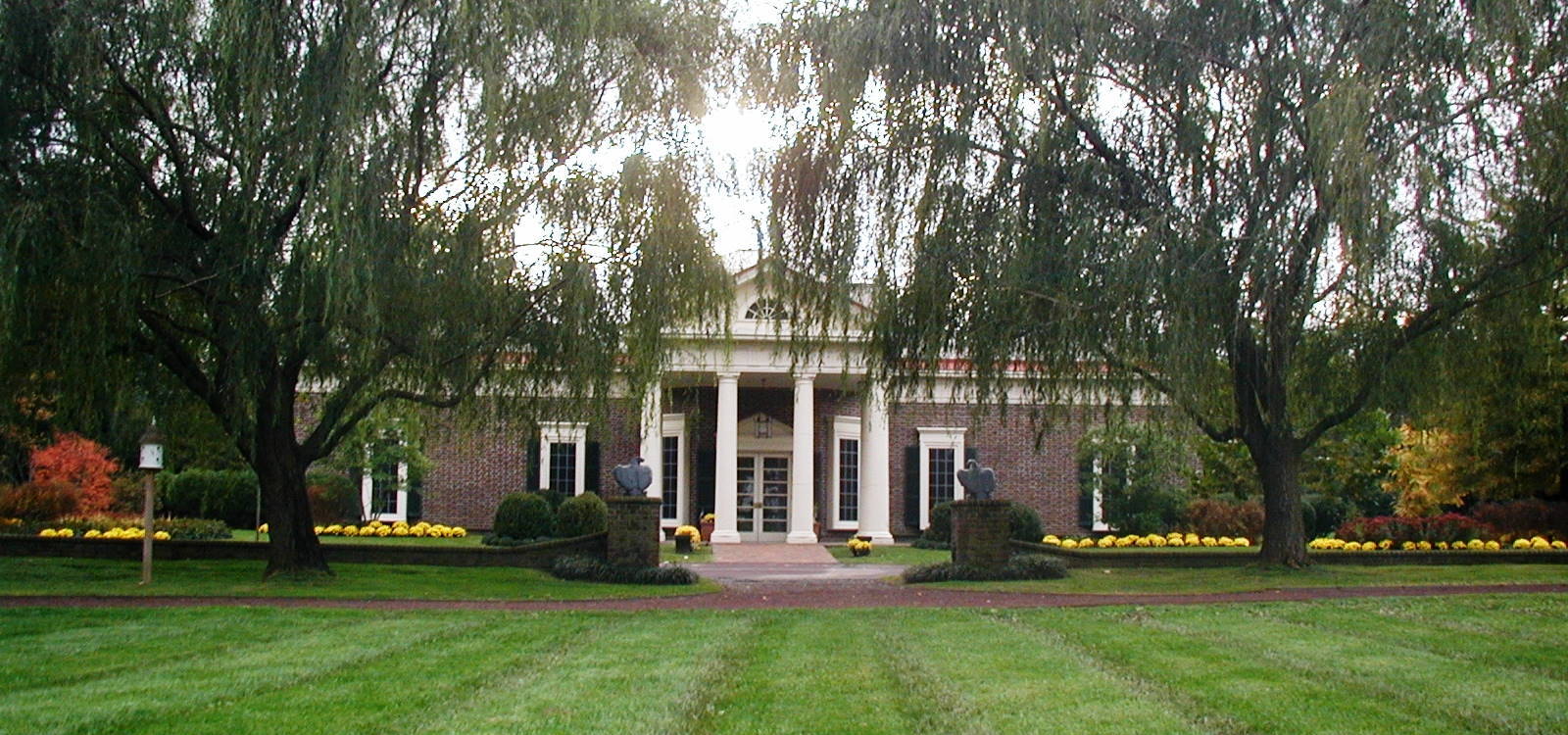 Image is not available